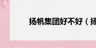 揚帆集團好不好(揚帆集團)