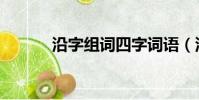 沿字組詞四字詞語(沿字組詞)