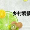 鄉村愛情9下劉能（鄉村愛情9下）