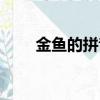 金魚的拼音正確寫法（金魚的拼音）