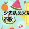 少先隊員采茶歌四年級下冊歌詞（少先隊員采茶歌）