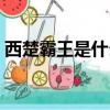 西楚霸王是什么意思（西楚霸王是什么生肖）