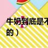 牛奶到底是不是寒性的（牛奶到底是不是人喝的）