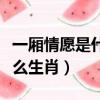 一廂情愿是什么意思解釋一下（一廂情愿是什么生肖）
