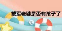 戴軍老婆是否有孩子了(戴軍老婆)