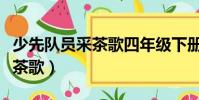 少先隊員采茶歌四年級下冊歌詞(少先隊員采茶歌)