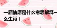 一廂情愿是什么意思解釋一下(一廂情愿是什么生肖)