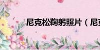 尼克松鞠躬照片(尼克松身高)
