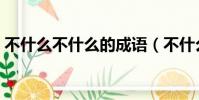 不什么不什么的成語(不什么不什么的成語)