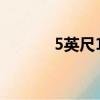 5英尺11英寸（5英尺11英寸）