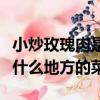 小炒玫瑰肉是什么地方的菜名（小炒玫瑰肉是什么地方的菜）