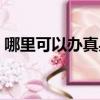 哪里可以辦真身份證（哪里可以辦真實文憑）