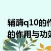 輔酶q10的作用與功效有何副作用（輔酶q10的作用與功效）