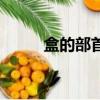 盒的部首是什么偏旁（盒的部首）