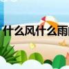 什么風什么雨的成語有哪些（什么風什么雨）