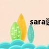 sara談魔都教育（saratov）