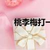 桃李梅打一城市名（桃李梅打一地名）