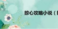 掠心攻略小說(掠心)