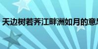 天邊樹若薺江畔洲如月的意思(天邊樹若薺)