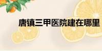 唐鎮三甲醫院建在哪里(唐鎮郵編)