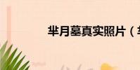 羋月墓真實照片(羋月墓)