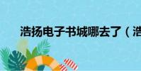 浩揚電子書城哪去了(浩揚電子書城)