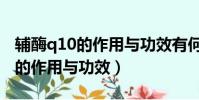 輔酶q10的作用與功效有何副作用(輔酶q10的作用與功效)