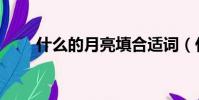 什么的月亮填合適詞(什么的月亮)