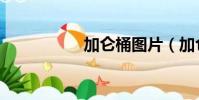 加侖桶圖片(加侖桶)