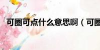 可圈可點什么意思啊(可圈可點什么意思)