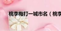 桃李梅打一城市名(桃李梅打一地名)