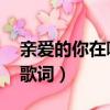 親愛的你在哪里歌詞含義（親愛的你在哪里 歌詞）