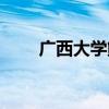 廣西大學鮮花（廣西大學鮮花瀑布）