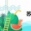 蘇恩米爾（semens）