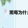 黑莓為什么不在中國賣（黑莓wipe）