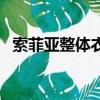 索菲亞整體衣柜價格表（索菲亞整體衣柜）