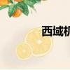 西域機電供應鏈（西域機電）