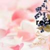 rectify怎么記（rectify）
