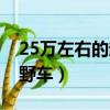 25萬左右的越野車性價比高（25萬左右的越野車）