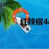 紅辣椒4a手機怎么樣（紅辣椒4a）