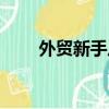 外貿新手從入門到精通（外貿仿單）