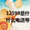 12599是什么電話號碼干什么的（12599是什么電話號碼）