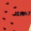 哈弗h7l四驅2020款（哈弗h7l）