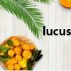 lucus英文名寓意（LUCUS）