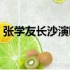 張學友長沙演唱會門票（張學友長沙演唱會）