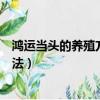 鴻運當頭的養殖方法和注意事項有哪些（鴻運當頭的養殖方法）