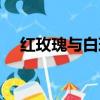 紅玫瑰與白玫瑰歌曲（紅玫瑰與白玫瑰）
