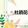 杜鵑花樹修剪圖解（杜鵑花樹）