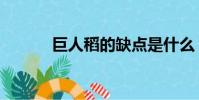 巨人稻的缺點是什么(巨人稻)