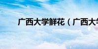 廣西大學鮮花(廣西大學鮮花瀑布)